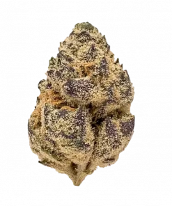 Blue Widow, tatlı meyve aromaları ve rahatlatıcı etkisiyle bilinen dengeli bir hibrit türdür. Orta seviyedeki THC içeriğiyle keyifli bir deneyim sunar. Hemen keşfedin.