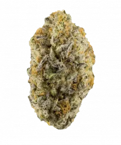 Blue Zikigai, tatlı meyve aromaları ve THC içeriğiyle öne çıkan Indica baskın bir türdür. Stres ve ağrı için ideal. Özelliklerini keşfedin.