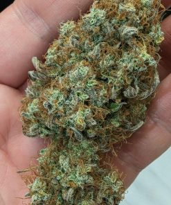 Blueberry Auto Fem Esrar Tohumu (Fast Buds)