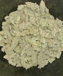 Blueberry Auto Fem Esrar Tohumu (Fast Buds)