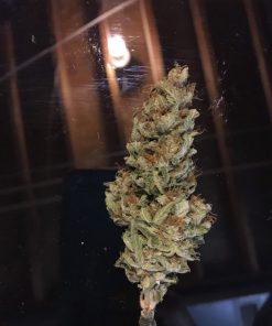 Blueberry Auto Fem Esrar Tohumu (ILGM)