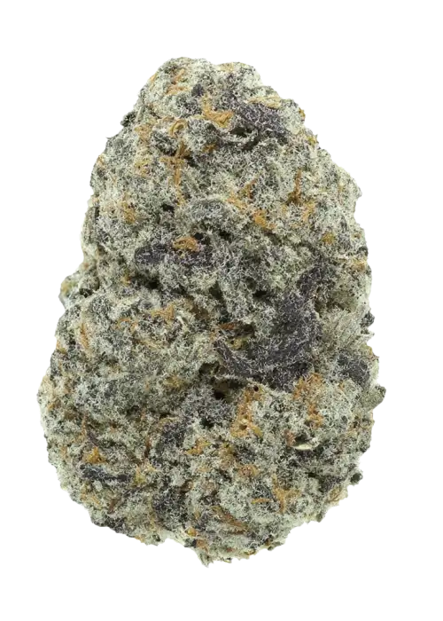 Blueberry Bubble Gum, tatlı orman meyveleri ve sakız aromasıyla öne çıkan bir hibrit türdür. 'e varan THC içeriğiyle dikkat çeker. Etkilerini keşfedin.