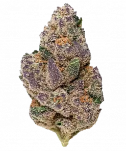 Blueberry Caviar, kremsi aroması ve yüksek THC içeriğiyle bilinen Indica baskın bir türdür. Depresyon ve uykusuzluğa iyi gelir. Genetik yapısını keşfedin.