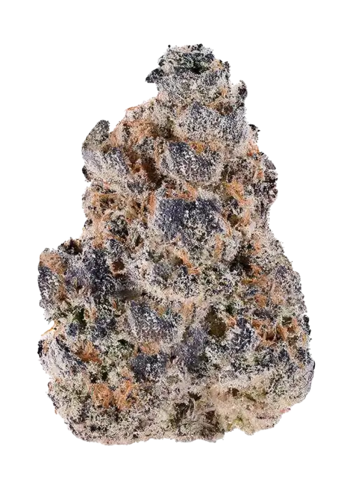 Blueberry Cherries, yaban mersini aromalı ve yüksek THC'li indica dominant bir türdür. Rahatlatıcı etkileriyle öne çıkar. Genetik yapısını keşfedin ve görüntüleyin.