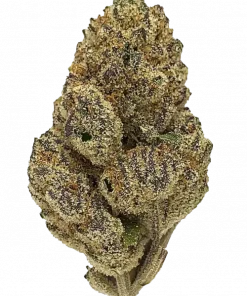 Blueberry Clementine, tatlı portakal aroması ve THC ile öne çıkan Indica baskın bir türdür. Yaratıcılığı tetikleyen bu eşsiz türü keşfedin.