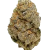 Blueberry Cookies, yaban mersini aroması ve rahatlatıcı etkileriyle bilinen Indica dominant bir türdür. Kas spazmlarına iyi gelir. Genetik yapısını keşfedin.