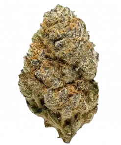 Blueberry Cookies, yaban mersini aroması ve rahatlatıcı etkileriyle bilinen Indica dominant bir türdür. Kas spazmlarına iyi gelir. Genetik yapısını keşfedin.