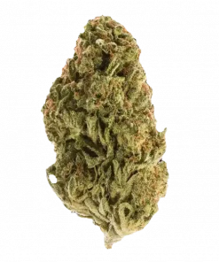 Blueberry Crumble, tatlı yaban mersini aroması ve yüksek THC içeriğiyle bilinen dengeli bir hibrit türdür. Yoğun rahatlama ve mutluluk için genetik yapısını keşfedin.