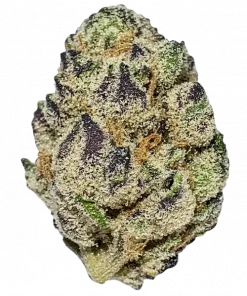 Blueberry Diesel, yaban mersini ve yakıtımsı notalarıyla öne çıkan Indica baskın bir türdür. Dengeli etkileriyle rahatlama sağlar. Özelliklerini keşfedin.