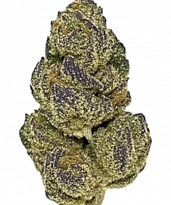 Blueberry Dream, yaban mersini aroması ve THC ile öne çıkan Sativa baskın bir türdür. Ağrı ve stresi azaltan etkilerini keşfedin.
