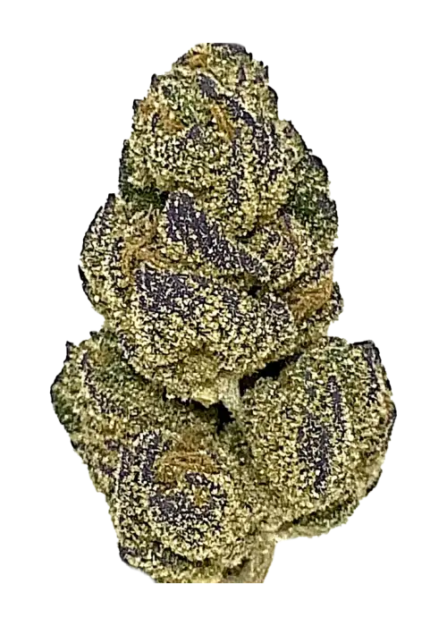 Blueberry Dream, yaban mersini aroması ve THC ile öne çıkan Sativa baskın bir türdür. Ağrı ve stresi azaltan etkilerini keşfedin.
