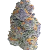 Blueberry Headband, yaban mersini aroması ve rahatlatıcı etkisiyle bilinen Indica baskın bir türdür. Yüksek verimiyle öne çıkar. Genetik yapısını keşfedin.