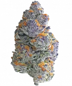 Blueberry Headband, yaban mersini aroması ve rahatlatıcı etkisiyle bilinen Indica baskın bir türdür. Yüksek verimiyle öne çıkar. Genetik yapısını keşfedin.
