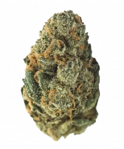 Blueberry Kush, tatlı yaban mersini aroması ve güçlü Indica etkileriyle bilinen bir türdür. Rahatlatıcı yapısıyla öne çıkar. Bu eşsiz türü keşfedin.