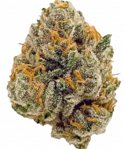 Blueberry Muffin, benzersiz yaban mersini aroması ve rahatlatıcı etkileriyle bilinen Indica dominant bir türdür. Blueberry genetiğini keşfedin ve faydalarını görüntüleyin.