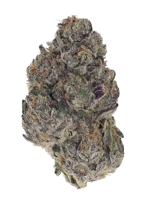 Blueberry OG, benzersiz meyvemsi ve sert aromasıyla bilinen Indica baskın bir türdür. Rahatlatıcı etkilerini keşfedin ve genetik yapısını görüntüleyin.