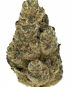 Blueberry Pie, tatlı meyve aromalarıyla öne çıkan dengeli bir hibrit türdür. Depresyon ve stresi azaltıcı etkileri keşfedin. Genetik yapısını görüntüleyin.