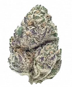 Blueberry Slushie, yaban mersini aroması ve dengeli etkileriyle öne çıkan hibrit bir türdür. Tatlı meyve notalarını keşfedin ve rahatlatıcı etkilerini görüntüleyin.