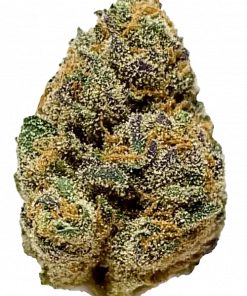 Blueberry Space Cake, yaban mersini aromalı ve yüksek THC'li Indica dominant bir türdür. Öforik etkileriyle bilinir. Genetik yapısını keşfedin ve detayları görüntüleyin.