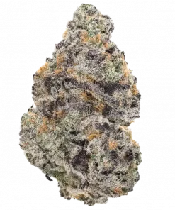 Blueberry Sugar, yaban mersini şekeri aroması ve dengeli etkisiyle öne çıkan hibrit bir türdür. Yüksek THC içeriğiyle keyifli bir deneyim için hemen keşfedin.