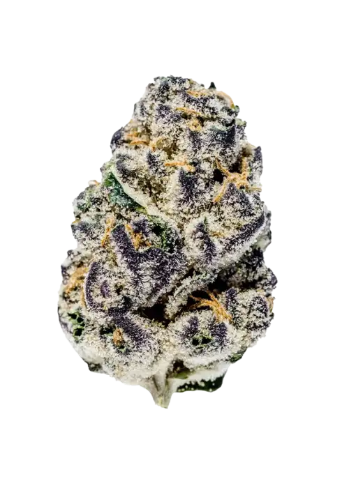 Blueberry Yum Yum, tatlı yaban mersini aromasıyla öne çıkan dengeli bir hibrit türdür. Mutlu ve rahatlatıcı etkileri keşfedin. Detaylı genetik yapısını inceleyin.