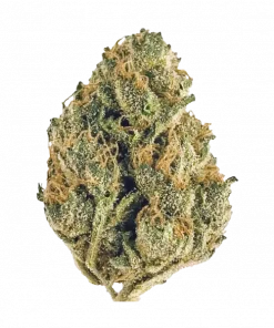 Blues Brothers, böğürtlen ve yakıtımsı peynir aromalarıyla öne çıkan sativa baskın türdür. Enerji verici etkileriyle gün boyu keyif sunar. Özelliklerini keşfedin.