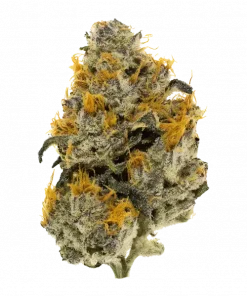 Bob 87, yüksek THC ve belirgin limon aromasıyla öne çıkan Sativa baskın bir türdür. Enerji veren etkileriyle bilinir. Bu eşsiz türü keşfedin.