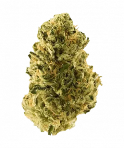 Bogeyman, yakıtımsı ve toprak aromalı, yüksek THC'li Sativa baskın bir türdür. Depresyon ve stresi azaltmaya yardımcı olabilir. Özelliklerini keşfedin.