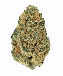 Bomb Pop, kimyasal limon aroması ve yüksek THC içeriğiyle bilinen dengeli bir hibrit türdür. Yaratıcılığı tetikleyen genetik yapısını keşfedin ve hemen görüntüleyin.