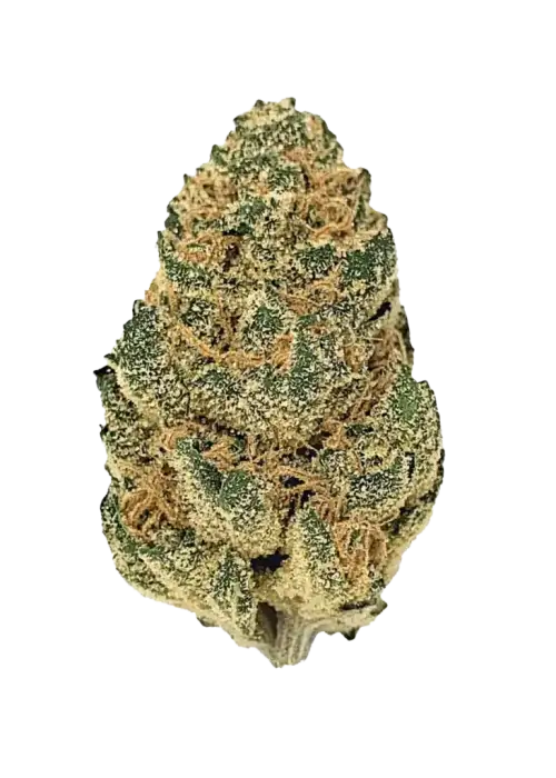 Bomb Pop, kimyasal limon aroması ve yüksek THC içeriğiyle bilinen dengeli bir hibrit türdür. Yaratıcılığı tetikleyen genetik yapısını keşfedin ve hemen görüntüleyin.