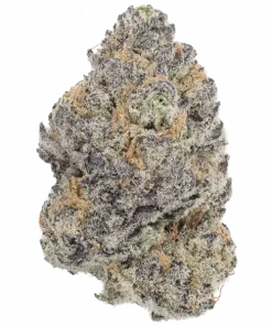 Booberry Cookies RBX, yaban mersini aroması ve yüksek THC içeriğiyle öne çıkan dengeli bir hibrit türdür. Genetik yapısını ve potansiyel faydalarını keşfedin.