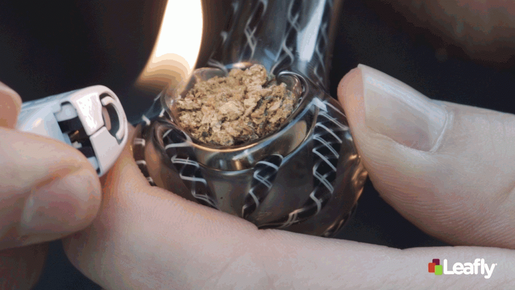 bowl