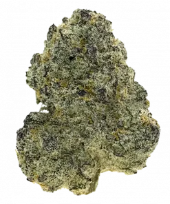 Boysenberry Cherries, böğürtlen aroması ve yüksek THC içeriğiyle öne çıkan indica dominant bir türdür. Ağrı ve stresi gidermek için ideal. Etkilerini keşfedin.