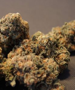 Brain Cake Feminized Esrar Tohumu (Ripper Seeds)