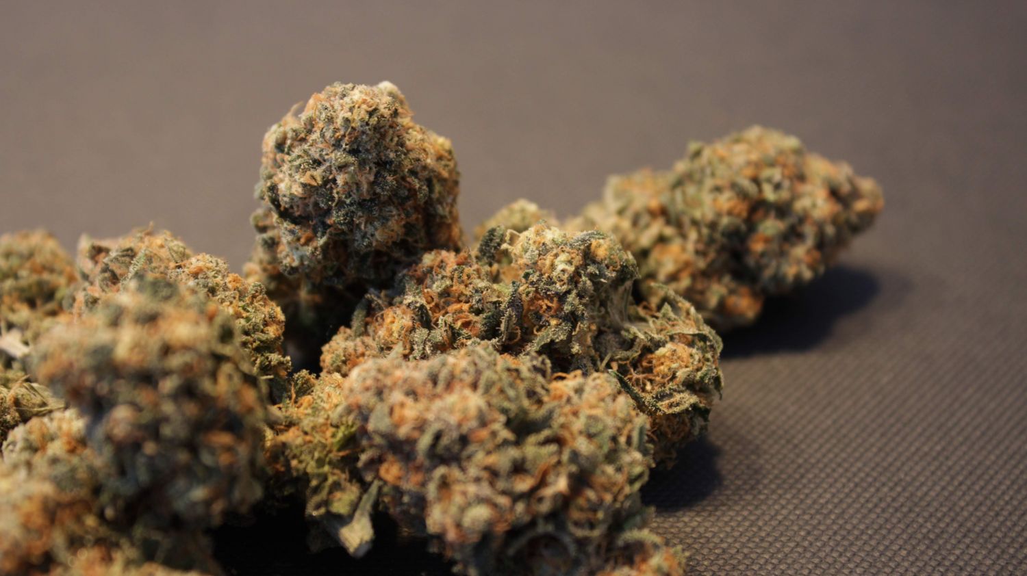 Brain Cake Feminized Esrar Tohumu (Ripper Seeds)