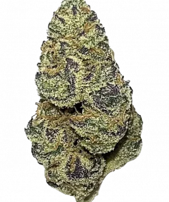 Brain Freeze, tropikal mango aromaları ve rahatlatıcı etkisiyle bilinen indica baskın bir türdür. Depresyon ve stres için ideal. Genetik yapısını keşfedin.