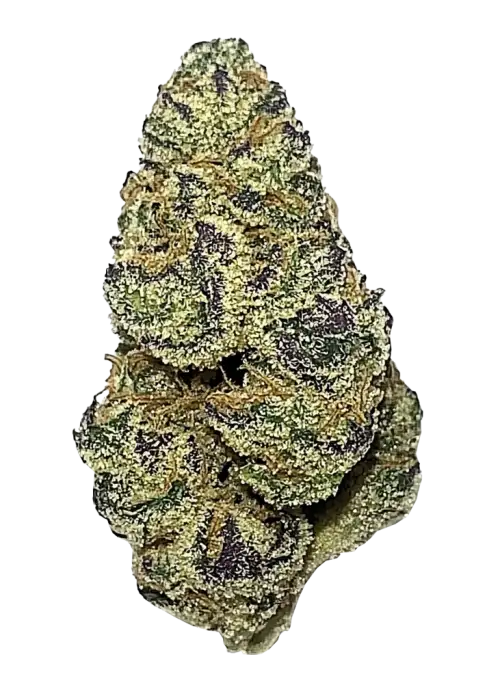 Brain Freeze, tropikal mango aromaları ve rahatlatıcı etkisiyle bilinen indica baskın bir türdür. Depresyon ve stres için ideal. Genetik yapısını keşfedin.