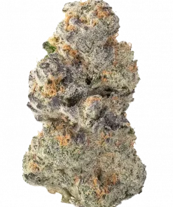 Breathlousy, tatlı narenciye aromaları ve rahatlatıcı etkileriyle bilinen Indica baskın bir türdür. Yüksek verimli ve aromatik bu türü keşfedin.