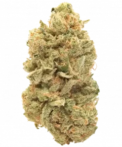 Brotherhood OG, yakıtımsı ve toprak notalarıyla öne çıkan indica ağırlıklı bir türdür. Rahatlatıcı etkileriyle bilinen bu hibriti keşfedin ve genetik yapısını görüntüleyin.