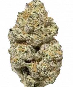 Brownie Scout, yakıtımsı aroması ve yüksek THC içeriğiyle bilinen Indica dominant bir türdür. Anksiyete ve uykusuzluğa iyi gelir. Özelliklerini keşfedin.