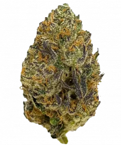 BRR Berry, yaban mersini aroması ve THC ile öne çıkan dengeli bir hibrit türdür. Mutluluk ve rahatlama için BRR Berry'yi keşfedin.