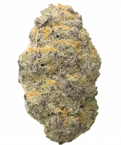 Bruce Banner, sert yakıtımsı aroması ve yüksek THC içeriğiyle bilinen Sativa baskın bir türdür. Enerjik etkilerini keşfedin ve daha fazlasını görüntüleyin.