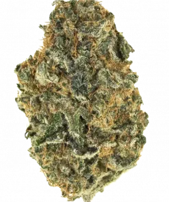 Bruce Banner #3, yakıtımsı ve tatlı aromasıyla bilinen sativa baskın bir türdür. Yüksek THC içeriğiyle öne çıkar. Bu eşsiz türün genetik yapısını keşfedin.