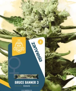 Bruce Banner 3 Feminized Esrar Tohumu (Zamnesia Seeds)