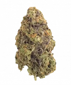 Bruce Buffer, tatlı aroması, dizel notaları ve rahatlatıcı etkileriyle bilinen Indica dominant bir türdür. Yüksek THC içeriğiyle öne çıkar. Özelliklerini keşfedin.