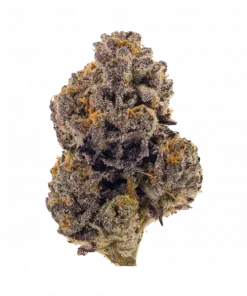 Bruised Bananas, ekşi ve baharatlı aromalarıyla öne çıkan dengeli bir hibrit türdür. Stresi azaltan ve yaratıcılığı teşvik eden bu türü keşfedin.