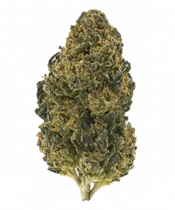 Bubba Dough, ekşi ve kremsi aromalarıyla öne çıkan Indica dominant bir türdür. Rahatlatıcı etkileriyle bilinir. Bu eşsiz türü keşfedin.