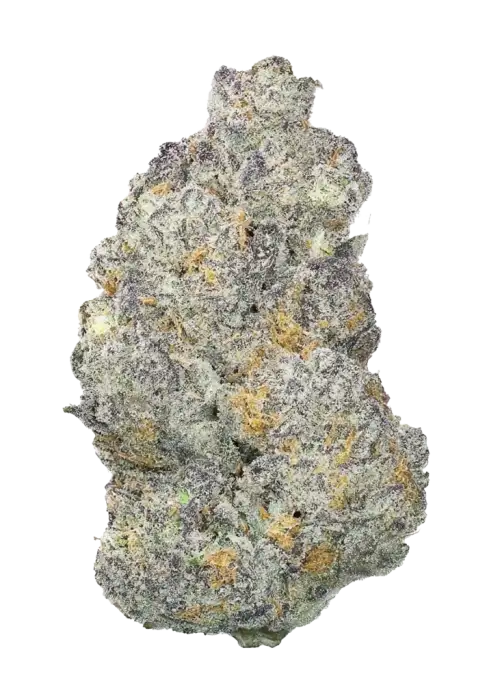 Bubba Island Kush, yakıtımsı aroması ve yüksek THC içeriğiyle bilinen güçlü bir indica türüdür. Rahatlatıcı etkileri ve genetik yapısını keşfedin.