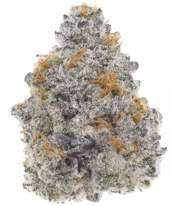 Bubbawhip, tatlı ve yakıtımsı aroması ile bilinen, yüksek THC'li indica dominant bir türdür. Stres ve ağrı giderme potansiyelini keşfedin, genetik yapısını görüntüleyin.