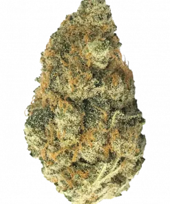 Bubble Bath, yakıtımsı ve tatlı aromasıyla öne çıkan Indica dominant bir türdür. 'e varan THC içeriğiyle rahatlatıcı etkilerini keşfedin ve genetik yapısını görüntüleyin.